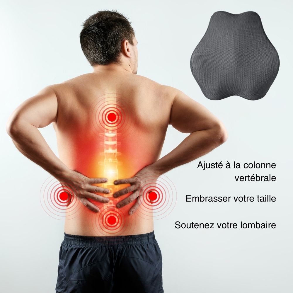 in-physio-ergonomique-coussin-lombaire-allonge-memoire-forme image 2