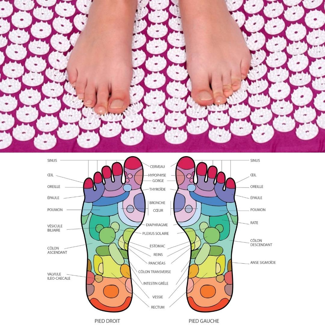 in-physio-kit-acupression-tapis-coussin-fleurs-mal-de-dos image 4