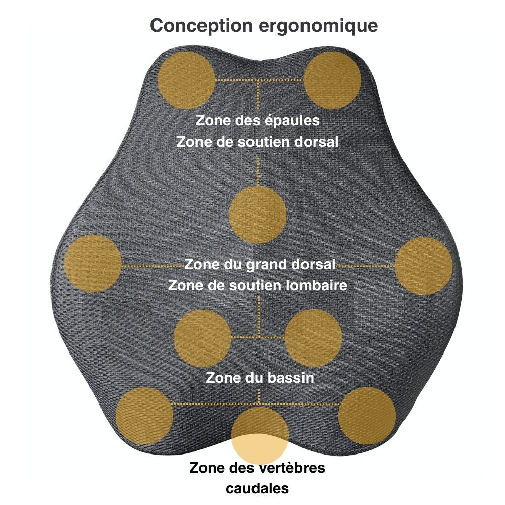 in-physio-ergonomique-coussin-lombaire-allonge-memoire-forme image 3