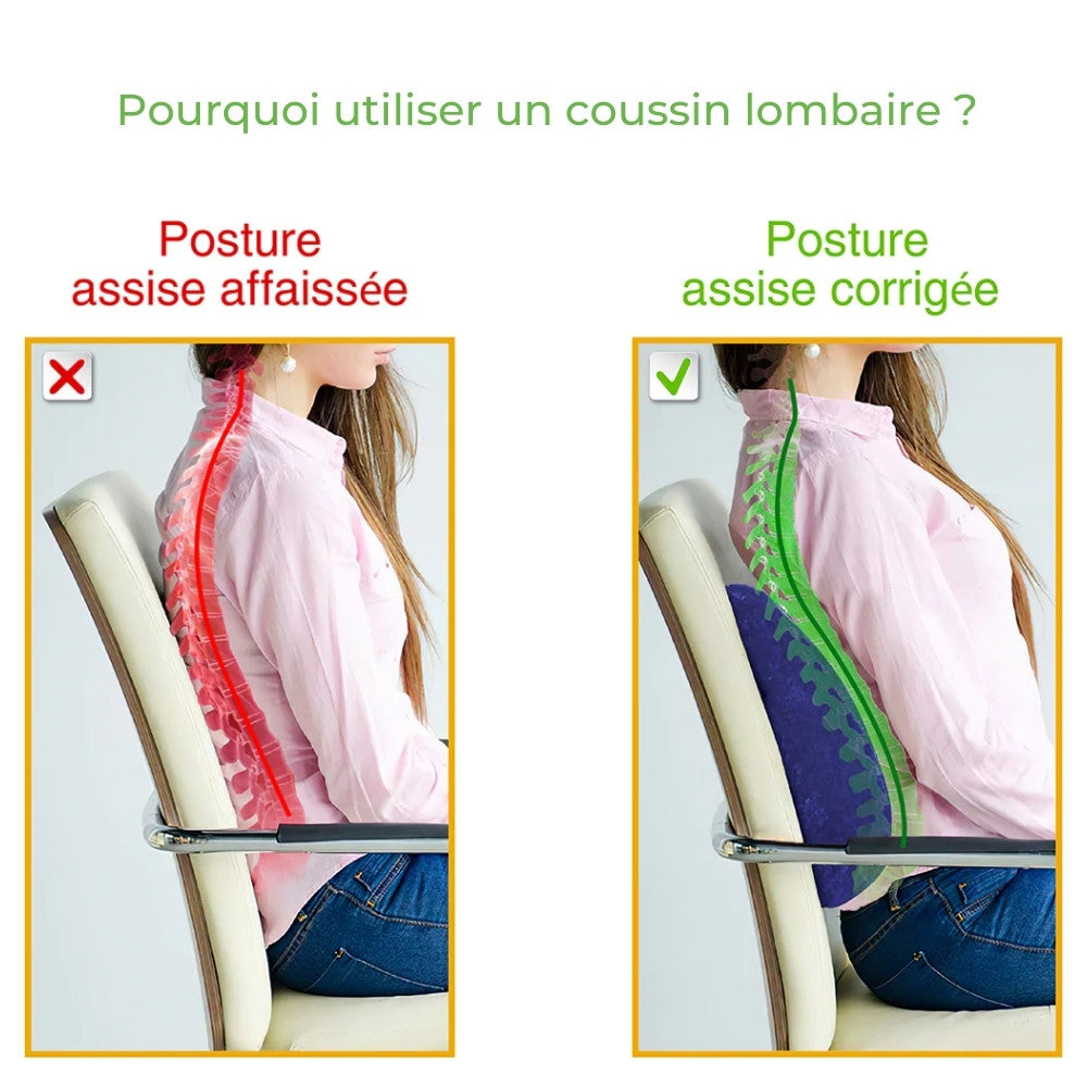 in-physio-doux-coussin-lombaire-memoire-de-forme-35x31 image 4