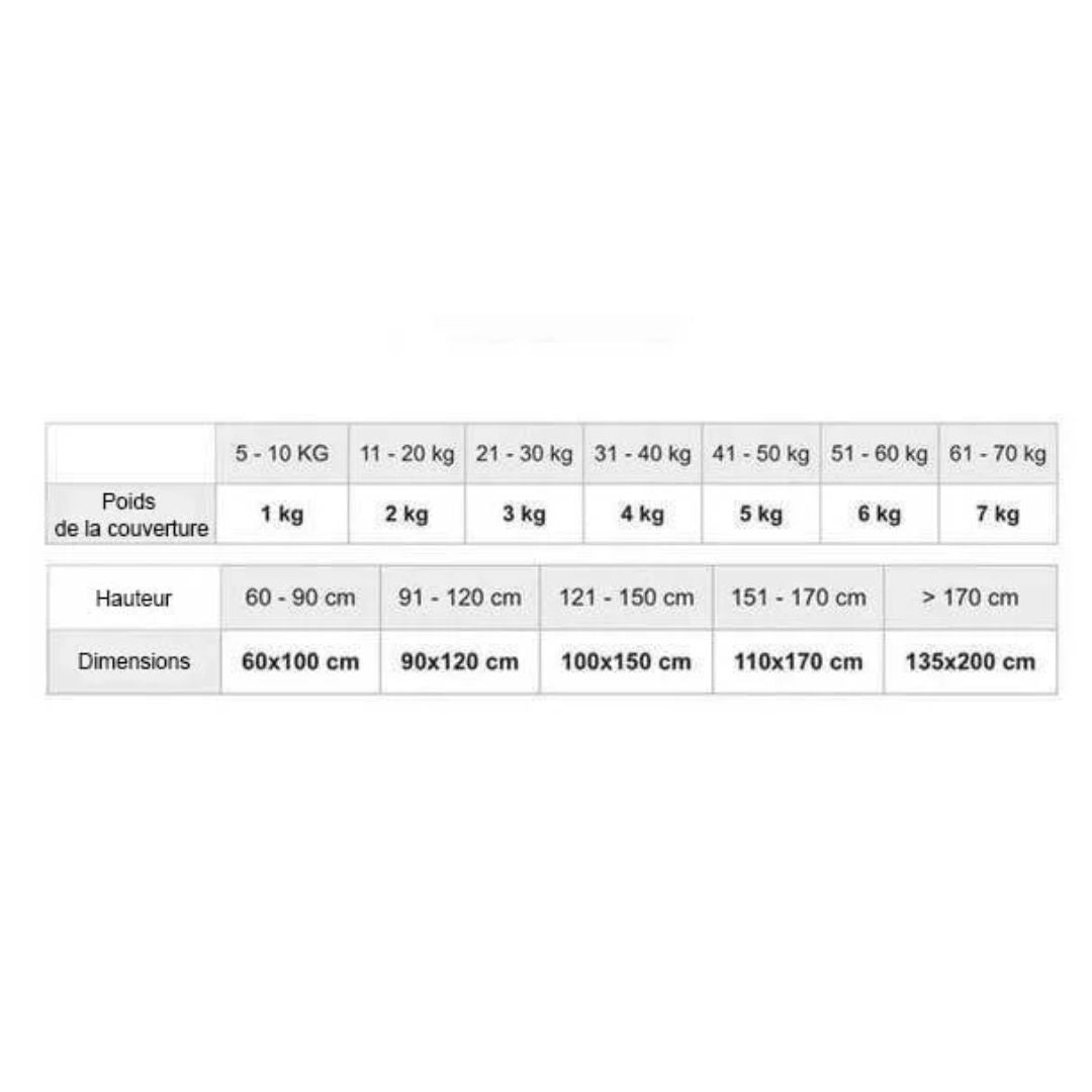 in-physio-couverture-lest-e-enfant-gris-90x120-3-7-kg image 6